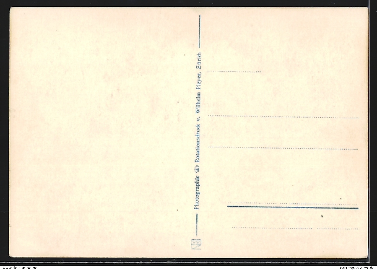 AK Zürich, Zürichseegefrörne 1929, Ausblick Von Der Turnhalle  - Other & Unclassified