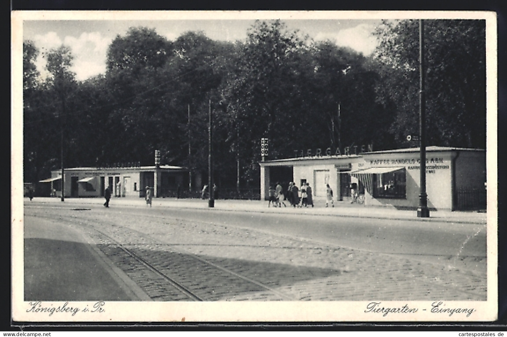 AK Königsberg I. Pr., Tiergarten-Eingang  - Other & Unclassified
