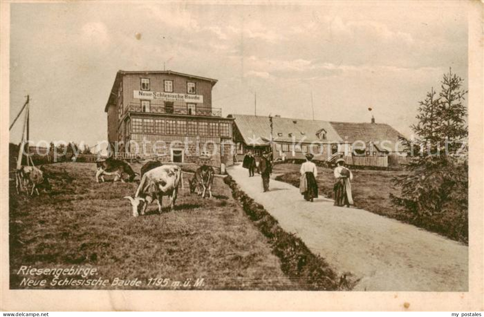 73817418 Riesengebirge_Krkonose_Karkonosze Neue Schlesische Baude - Czech Republic