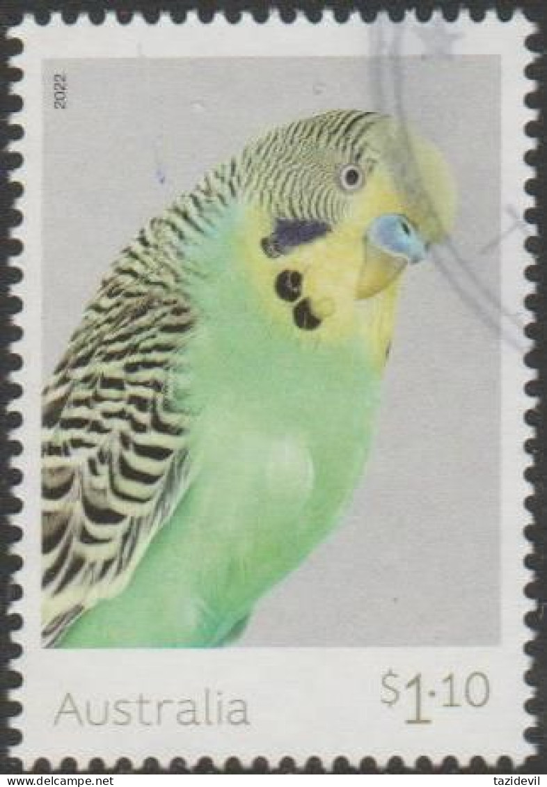 AUSTRALIA - USED 2022 $1.10 Budgerigars - "Celery" A Single Factor Golden Face - Used Stamps