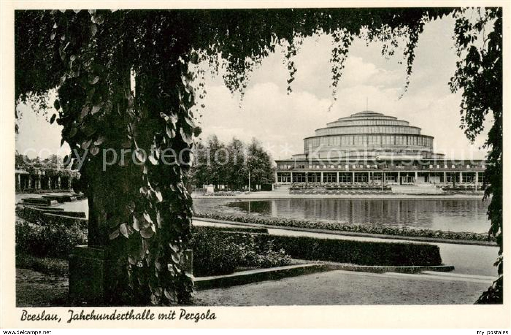 73817117 Breslau Niederschlesien Jahrhunderthalle Mit Pergola Breslau Niederschl - Poland