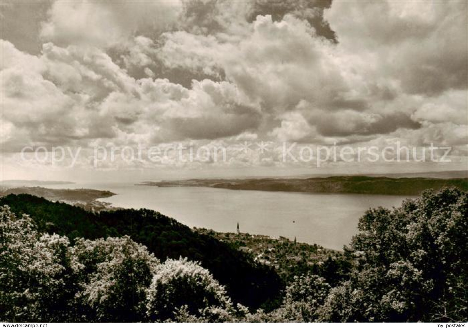 73817080 Sipplingen Bodensee Panorama Ueberlinger See Vom Haldenhof Gesehen Sipp - Altri & Non Classificati