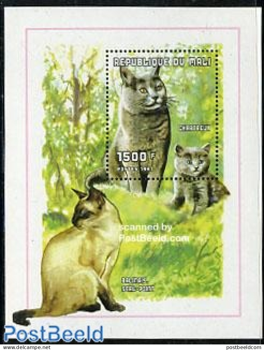 Mali 1998 Cat S/s, Mint NH, Nature - Cats - Mali (1959-...)