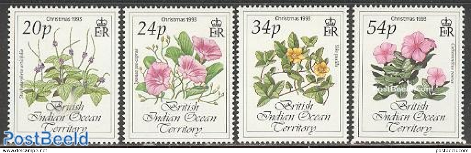 British Indian Ocean 1993 Christmas, Flowers 4v, Mint NH, Nature - Religion - Flowers & Plants - Christmas - Noël