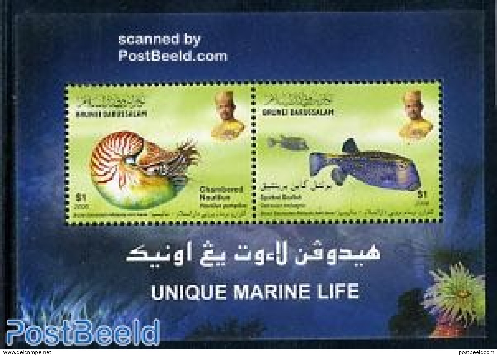 Brunei 2006 Marine Life S/s, Mint NH, Nature - Fish - Shells & Crustaceans - Fishes