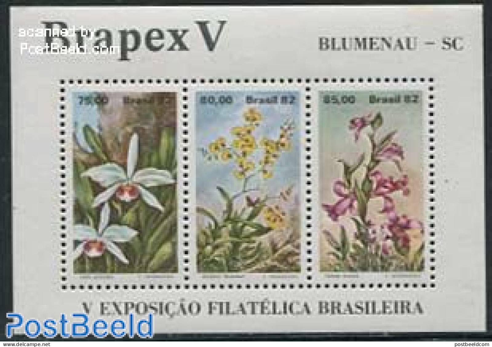 Brazil 1982 Brapex V S/s, Mint NH, Nature - Flowers & Plants - Orchids - Ungebraucht