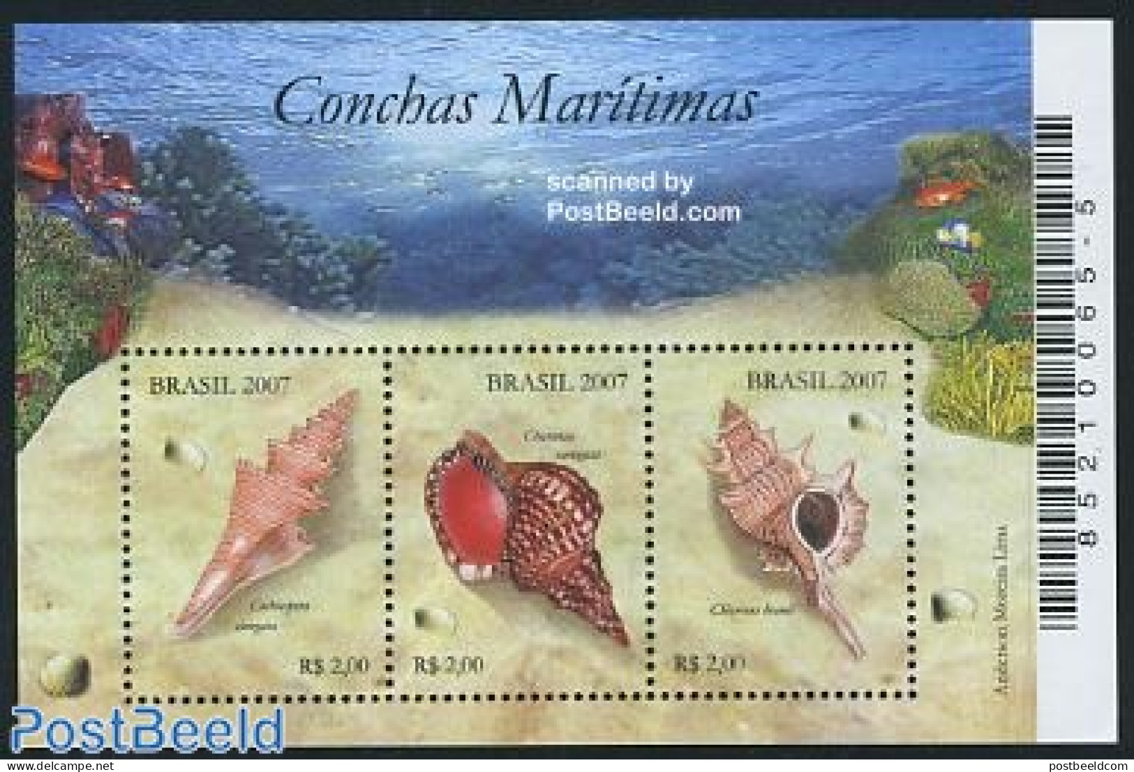 Brazil 2007 Shells S/s, Mint NH, Nature - Shells & Crustaceans - Neufs