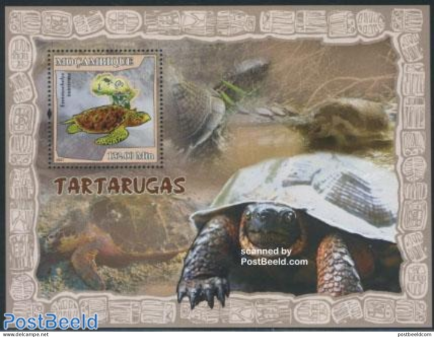 Mozambique 2007 Turtles S/s, Mint NH, Nature - Various - Reptiles - Turtles - Maps - Géographie