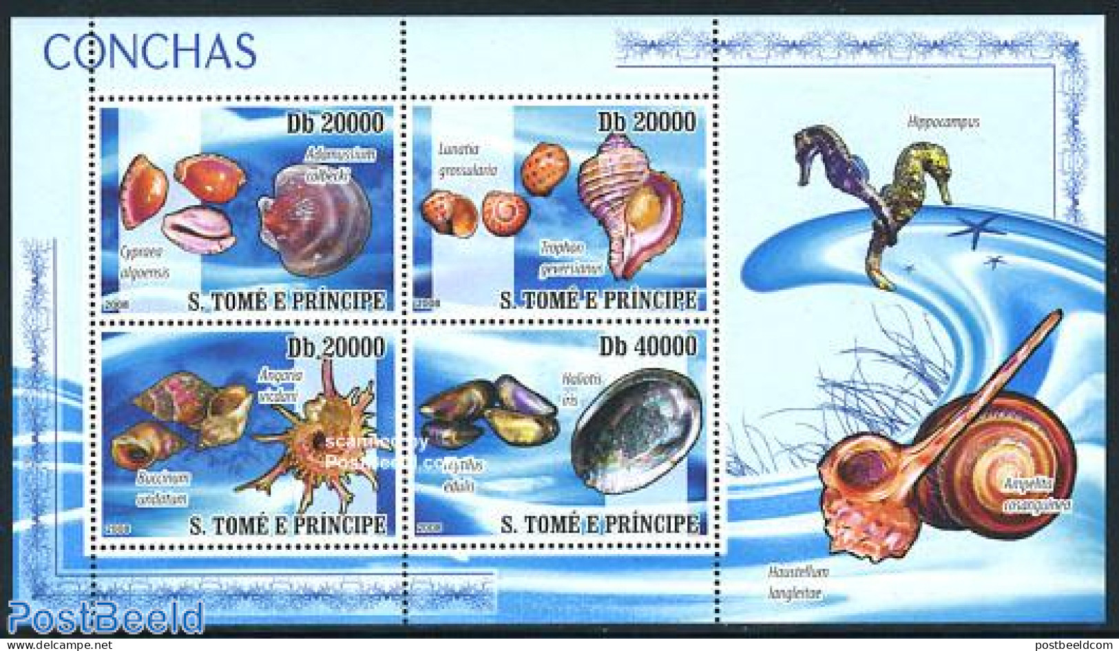 Sao Tome/Principe 2008 Shells 4v M/s, Mint NH, Nature - Shells & Crustaceans - Marine Life
