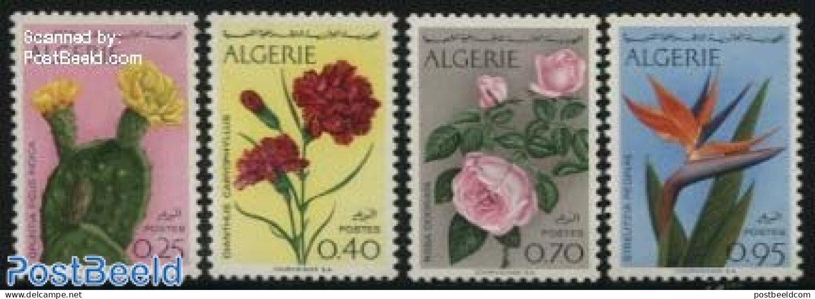 Algeria 1969 Flowers 4v, Mint NH, Nature - Cacti - Flowers & Plants - Roses - Ongebruikt