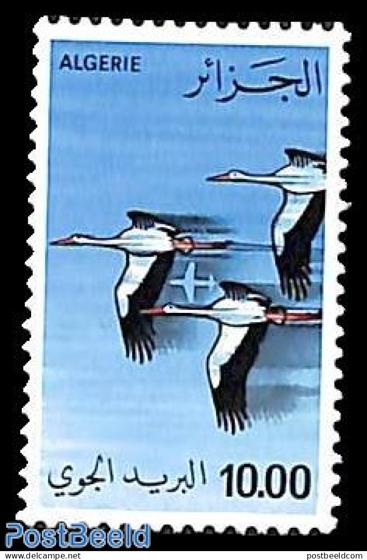 Algeria 1979 Airmail 1v, Mint NH, Nature - Birds - Storks - Ongebruikt