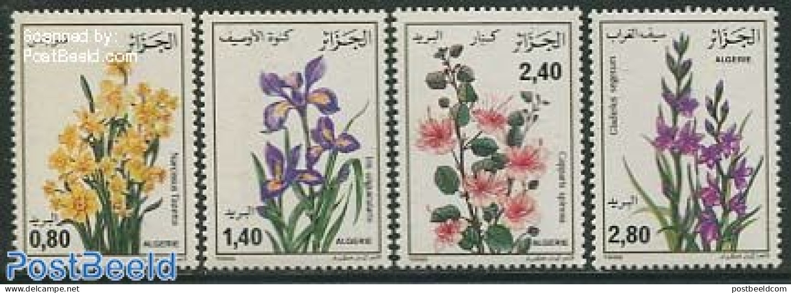 Algeria 1986 Flowers 4v, Mint NH, Nature - Flowers & Plants - Ongebruikt