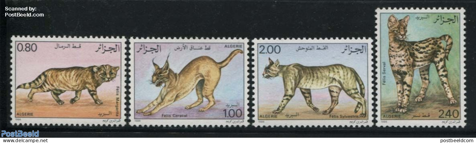 Algeria 1986 Wild Cats 4v, Mint NH, Nature - Animals (others & Mixed) - Cat Family - Cats - Unused Stamps