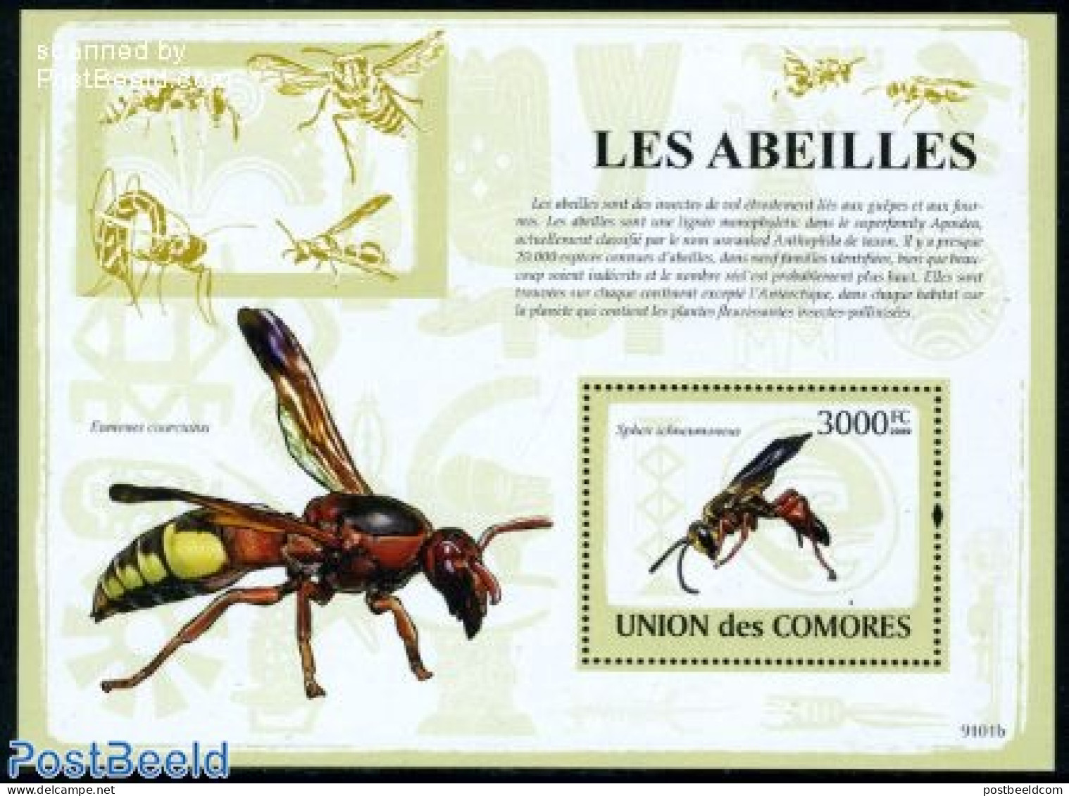 Comoros 2009 Insects S/s, Mint NH, Nature - Insects - Comoros