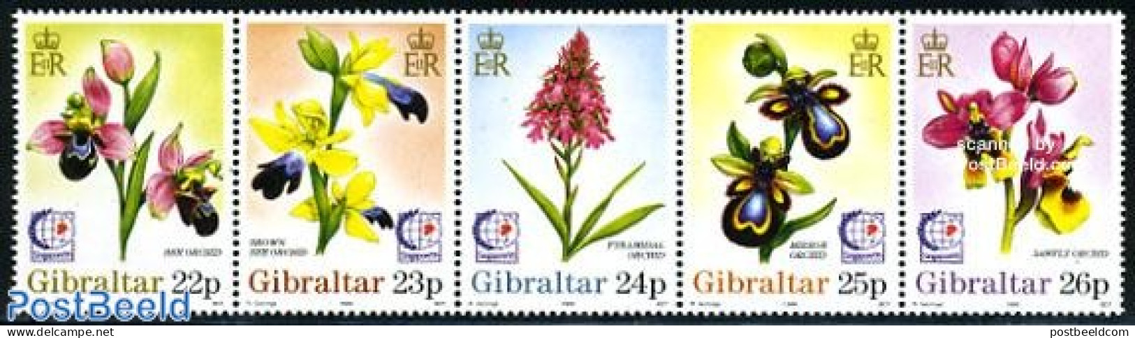 Gibraltar 1995 Singapore 95, Orchids 5v [::::], Mint NH, Nature - Flowers & Plants - Orchids - Gibilterra