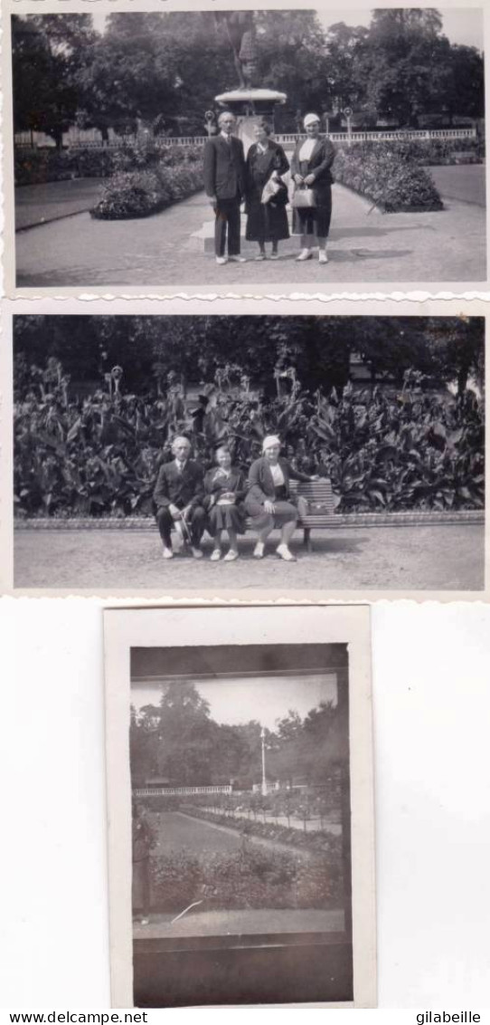 Photo Originale - 1931 - GRENOBLE - Jardin De L'hotel De Ville - Lot 3 Photos - Lieux
