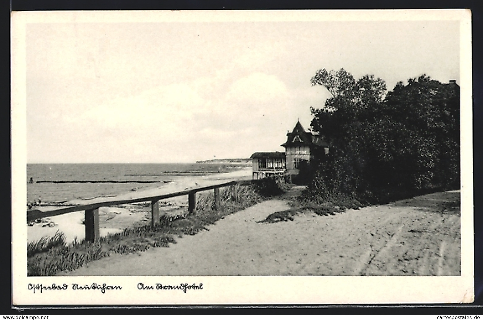 AK Neukuhren, Strandansicht Mit Sträuchern  - Ostpreussen