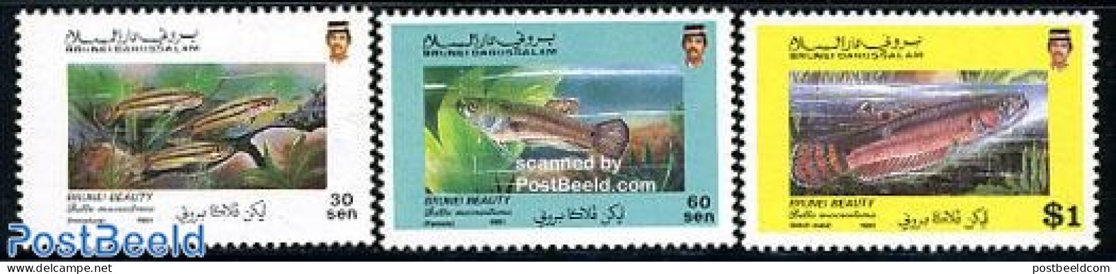 Brunei 1991 Brunei Fighting Fish 3v, Mint NH, Nature - Fish - Fishes
