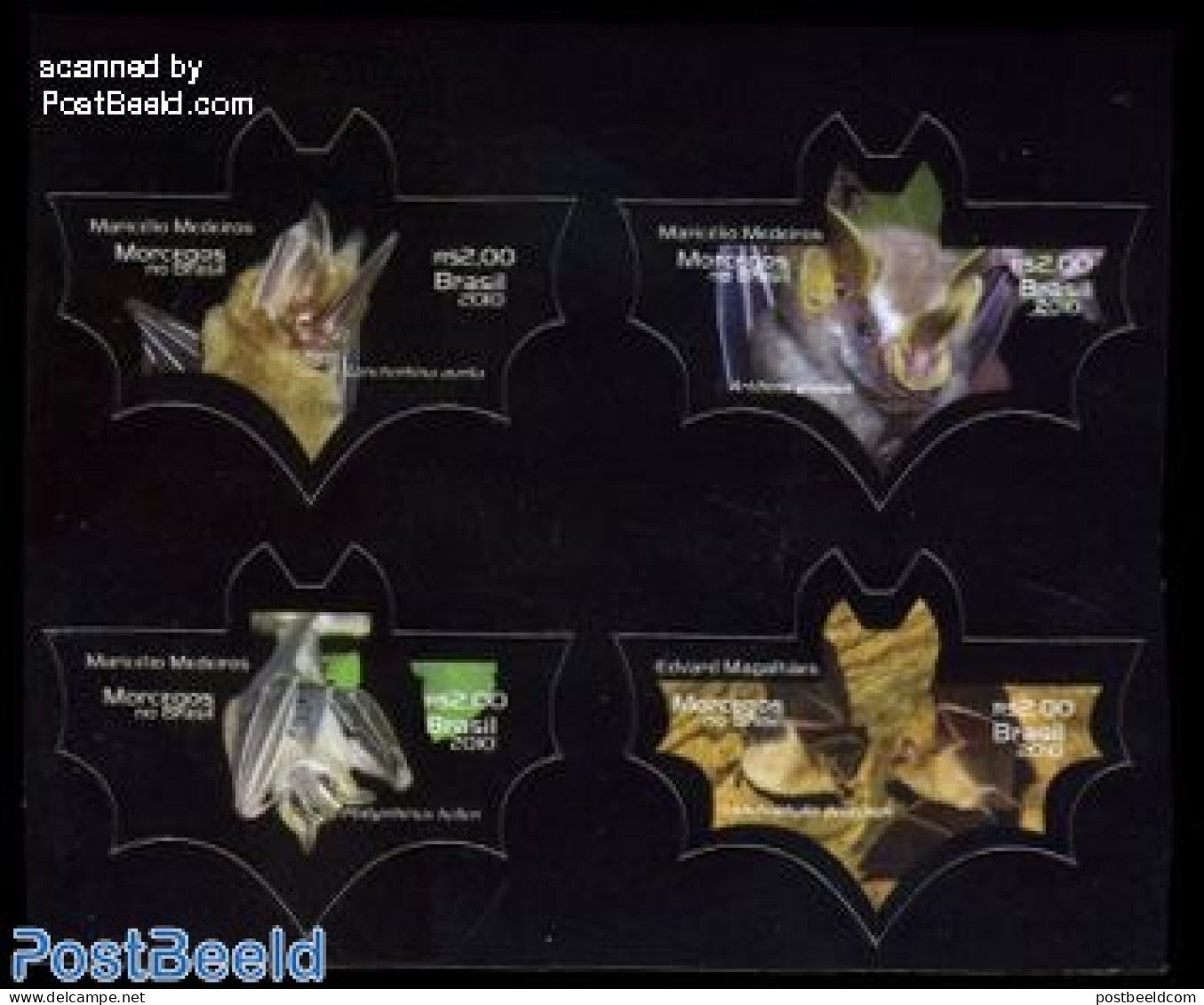 Brazil 2010 Bats 4v S-a , Mint NH, Nature - Animals (others & Mixed) - Bats - Nuevos