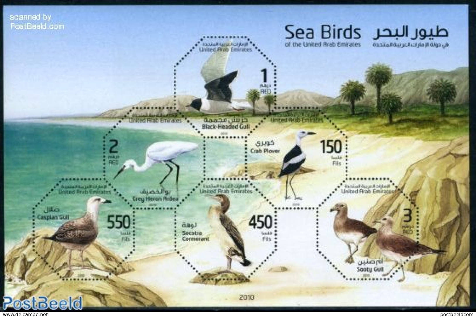 United Arab Emirates 2010 Sea Birds 6v M/s, Mint NH, Nature - Birds - Other & Unclassified