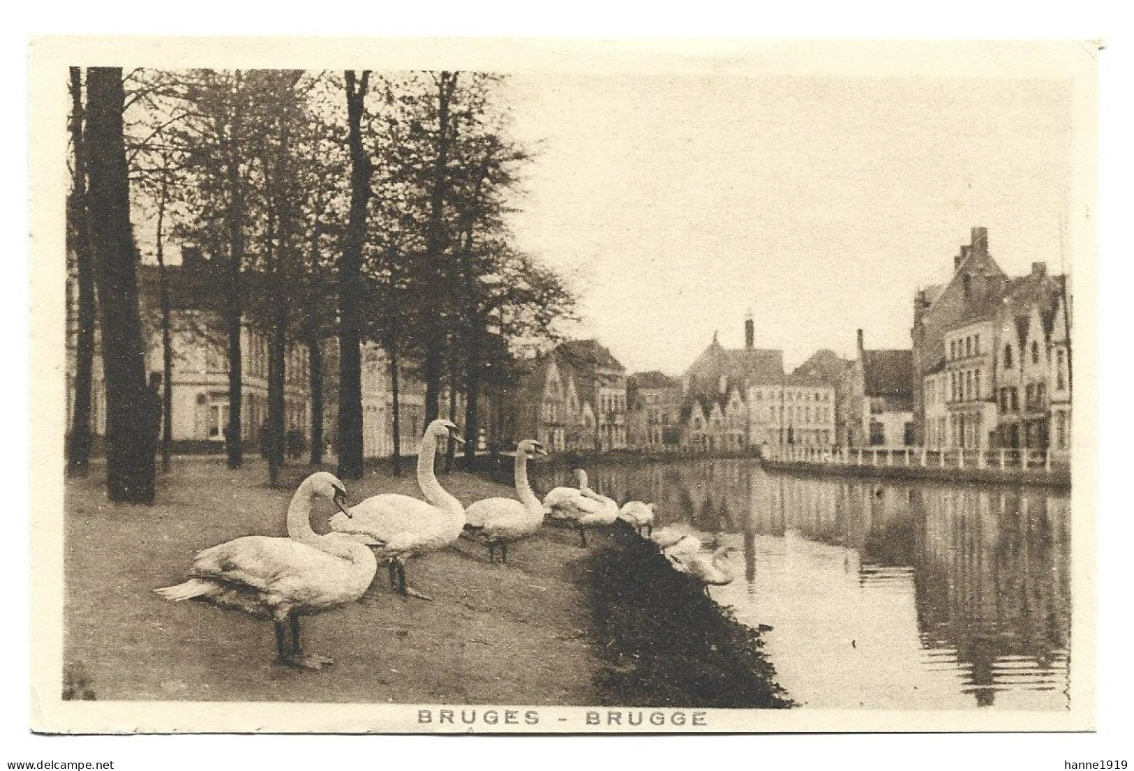 Brugge Quai Long Les Cygnes Zwanen Lange Rei Bruges Htje - Brugge