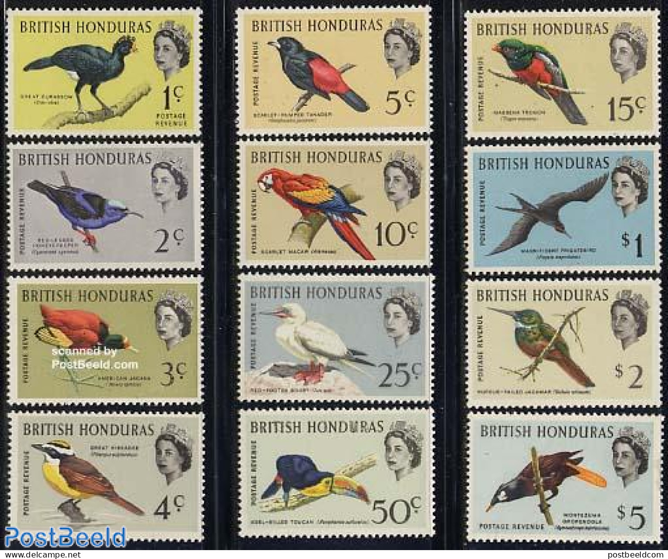 Belize/British Honduras 1962 Birds 12v, Mint NH, Nature - Birds - Parrots - Hummingbirds - Toucans - Honduras Britannico (...-1970)
