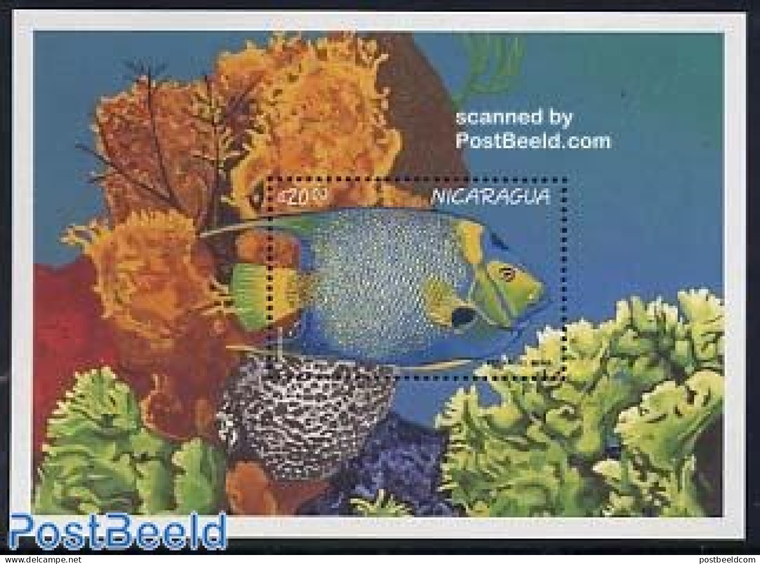 Nicaragua 1996 Angelfish S/s, Mint NH, Nature - Fish - Fishes