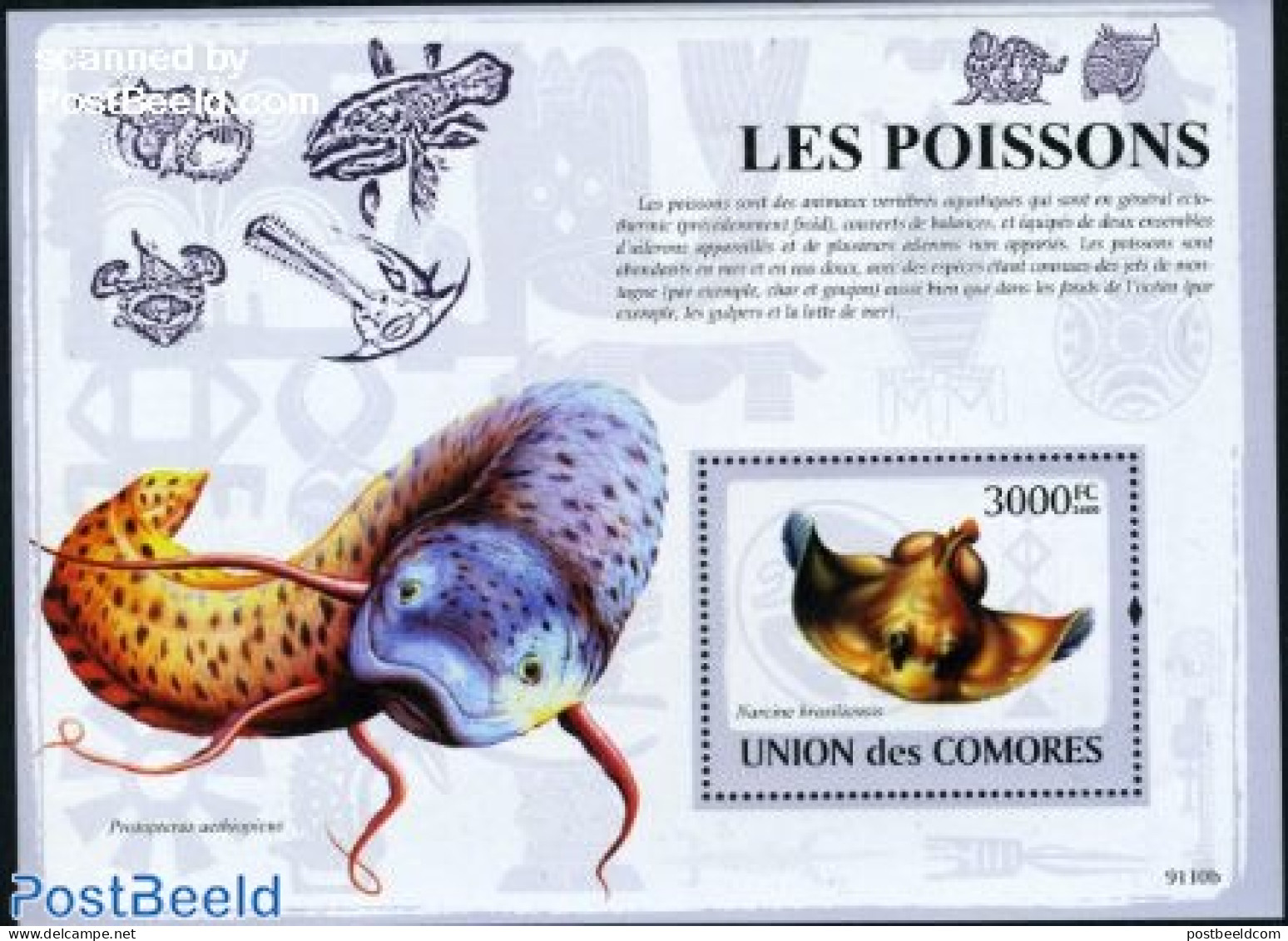 Comoros 2009 Fish S/s, Mint NH, Nature - Fish - Fishes
