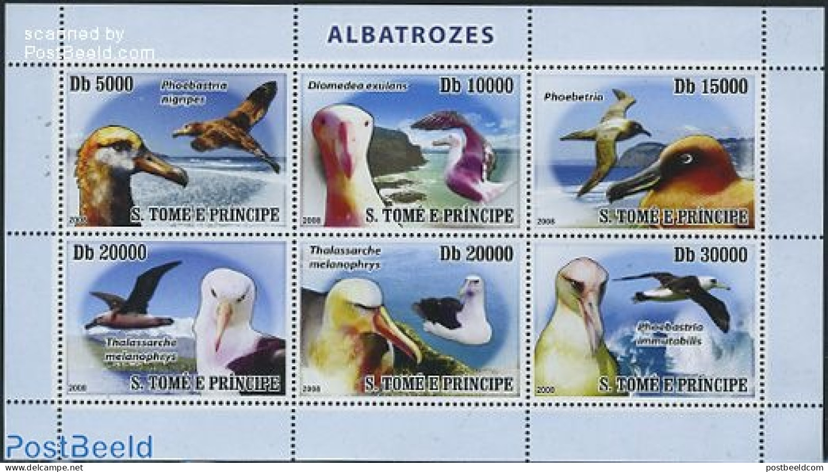 Sao Tome/Principe 2008 Albatross Birds 6v M/s, Mint NH, Nature - Birds - Sao Tomé Y Príncipe