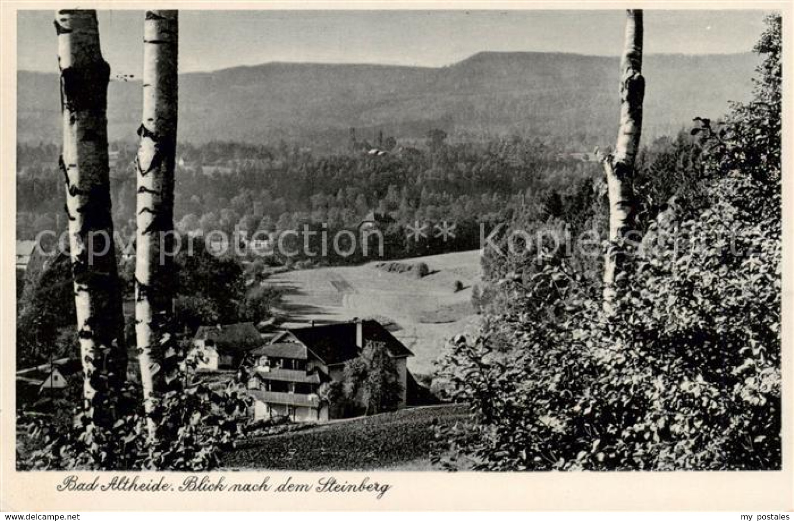 73816860 Bad Altheide Polanica-Zdrój Blick Zum Steinberg  - Polen