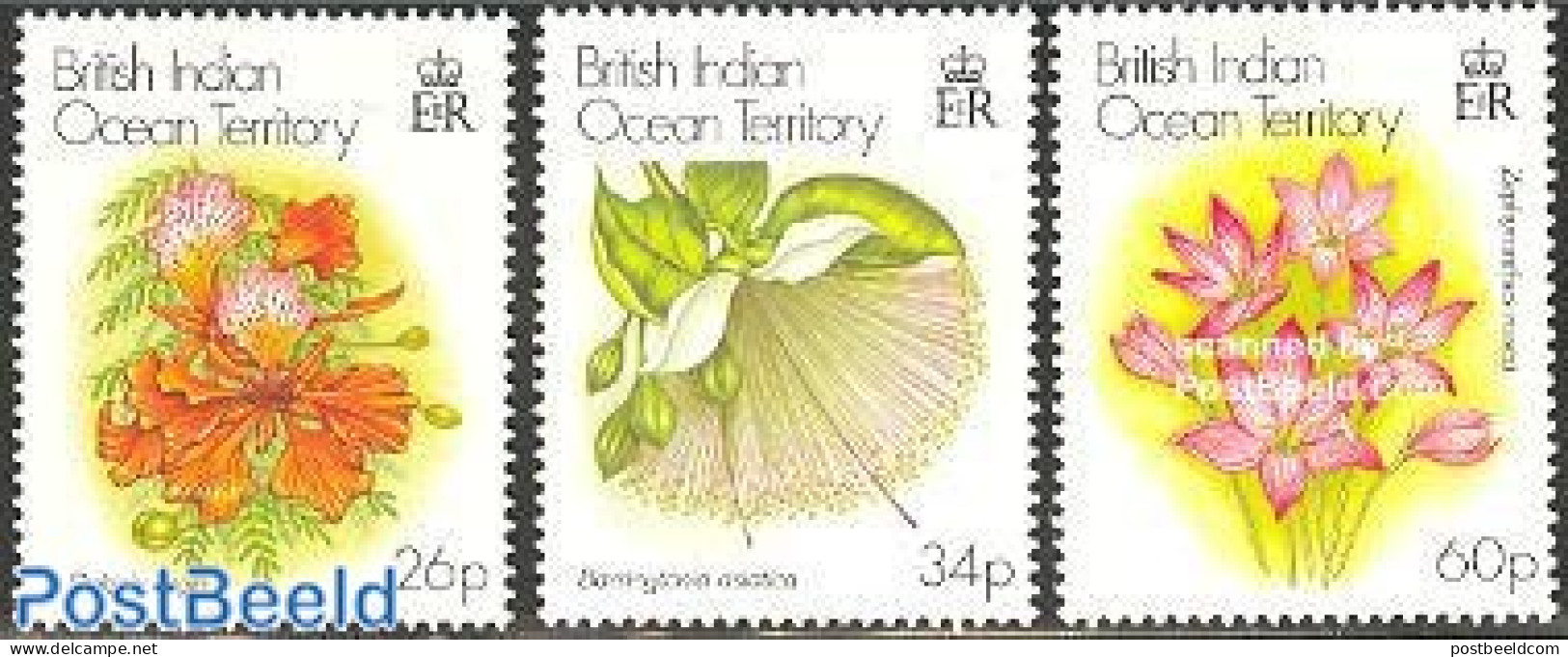 British Indian Ocean 2000 Christmas, Flowers 3v, Mint NH, Nature - Religion - Flowers & Plants - Christmas - Weihnachten