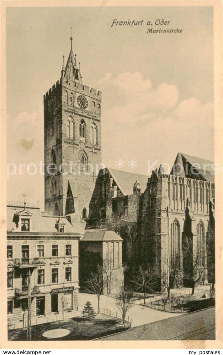 73816831 Frankfurt Oder Marienkirche Frankfurt Oder - Frankfurt A. D. Oder