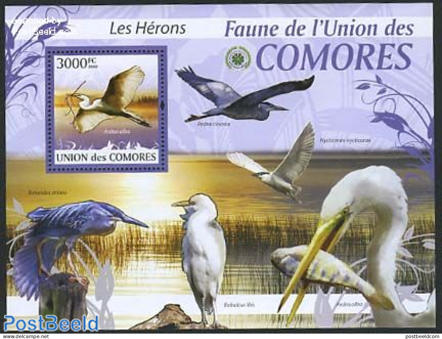 Comoros 2009 Heron S/s, Mint NH, Nature - Birds - Comoren (1975-...)