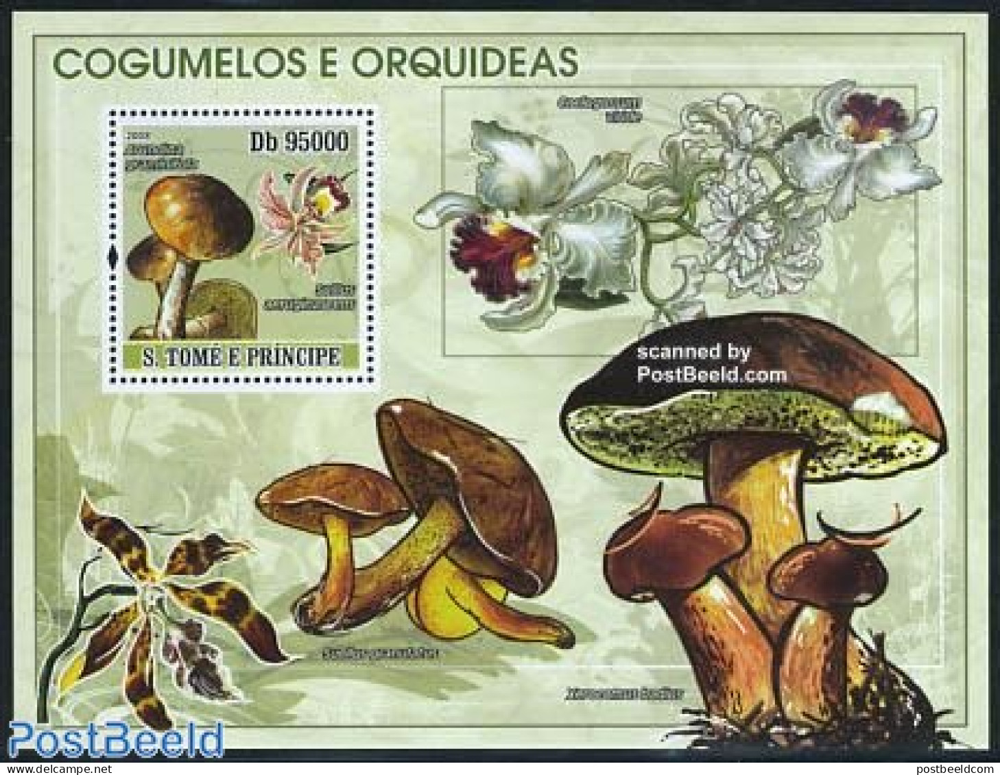 Sao Tome/Principe 2008 Mushrooms & Orchids S/s, Mint NH, Nature - Flowers & Plants - Mushrooms - Orchids - Pilze