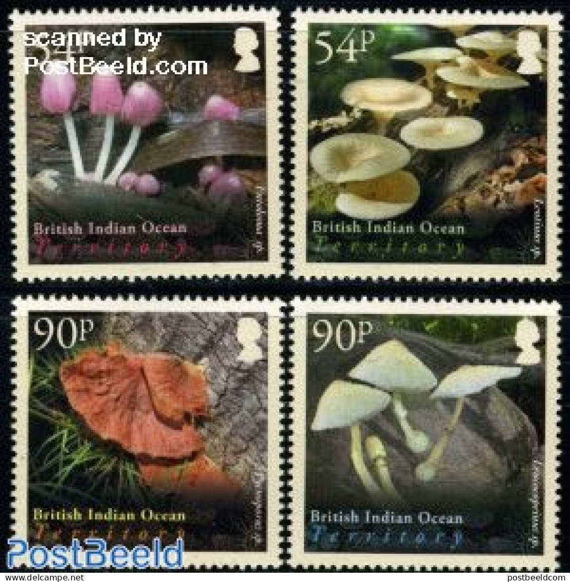 British Indian Ocean 2009 Mushrooms 4v, Mint NH, Nature - Mushrooms - Pilze
