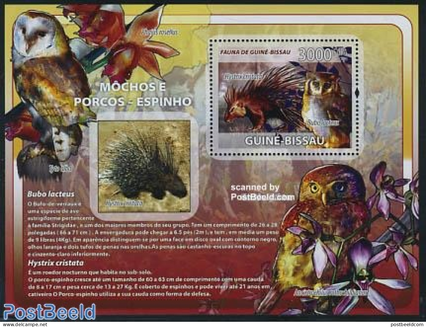 Guinea Bissau 2008 Animals S/s, Mint NH, Nature - Animals (others & Mixed) - Owls - Guinée-Bissau