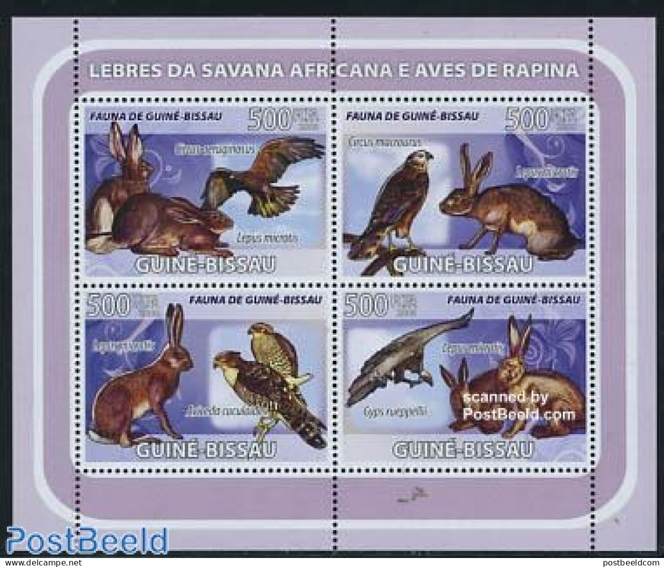 Guinea Bissau 2008 Rabbits & Birds 4v M/s, Mint NH, Nature - Birds - Birds Of Prey - Rabbits / Hares - Guinea-Bissau