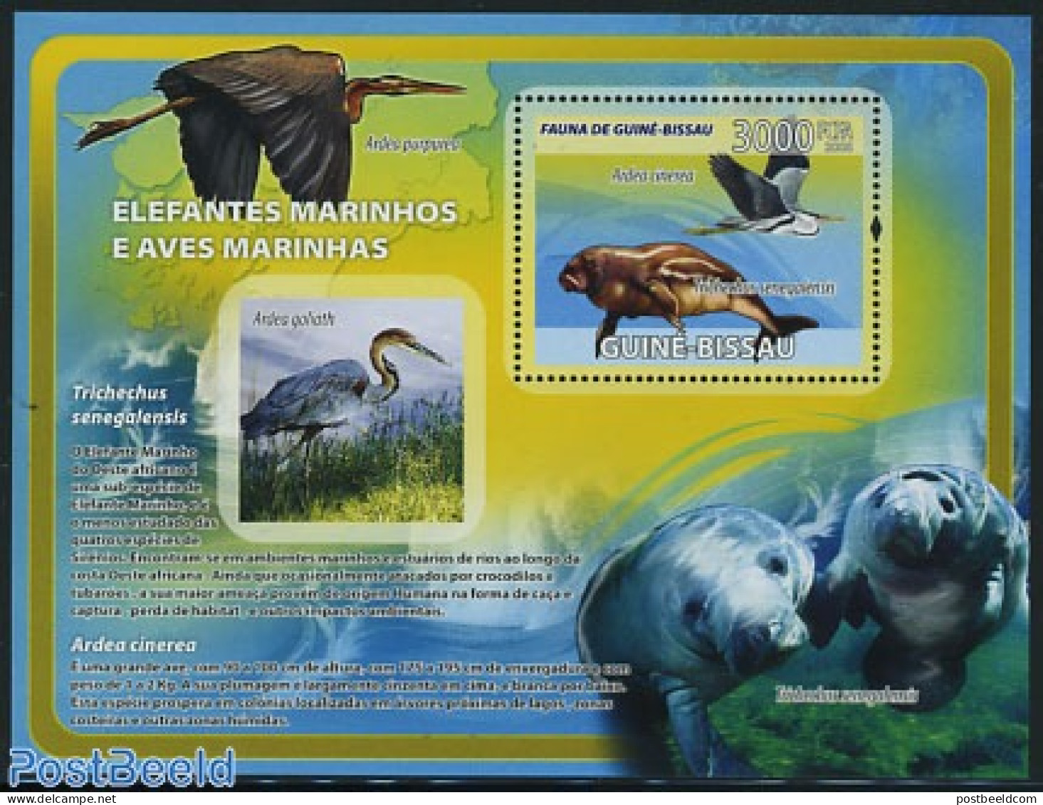 Guinea Bissau 2008 Birds & Sea Mammals S/s, Mint NH, Nature - Birds - Sea Mammals - Guinea-Bissau