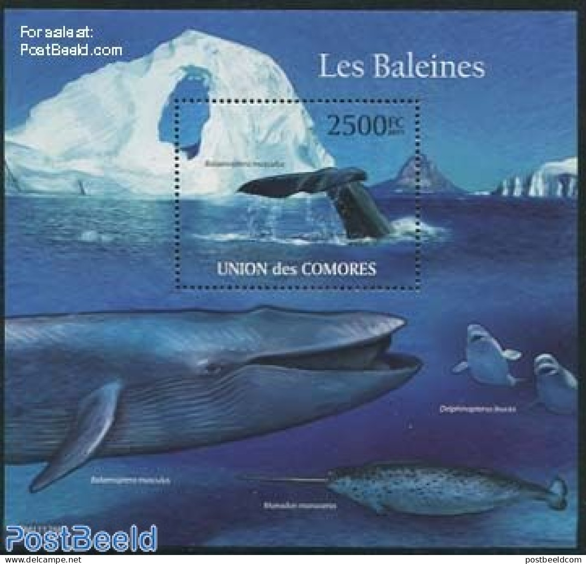 Comoros 2011 Whales S/s, Mint NH, Nature - Sea Mammals - Comores (1975-...)