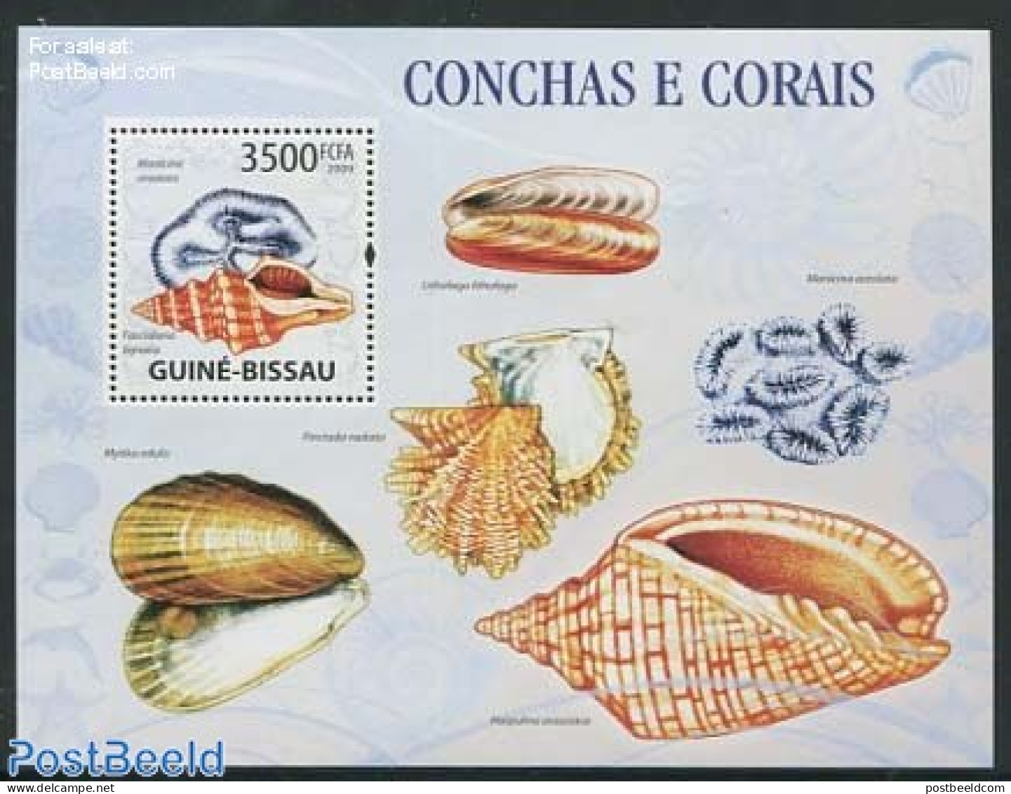 Guinea Bissau 2009 Shells S/s, Mint NH, Nature - Shells & Crustaceans - Vita Acquatica