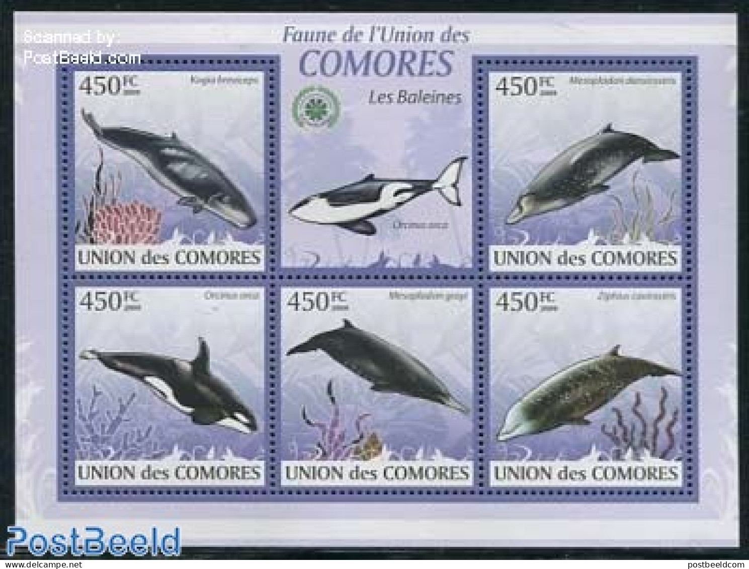 Comoros 2009 Whales 5v M/s, Mint NH, Nature - Sea Mammals - Comores (1975-...)