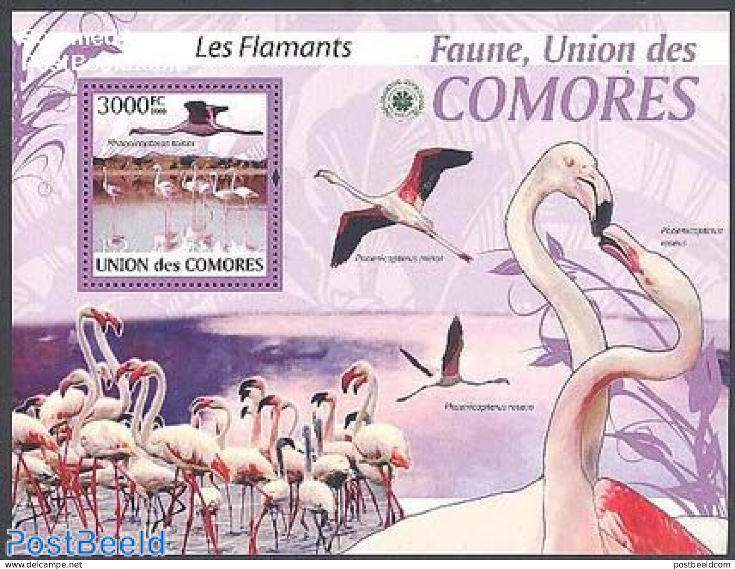 Comoros 2009 Flamingoes S/s, Mint NH, Nature - Birds - Komoren (1975-...)