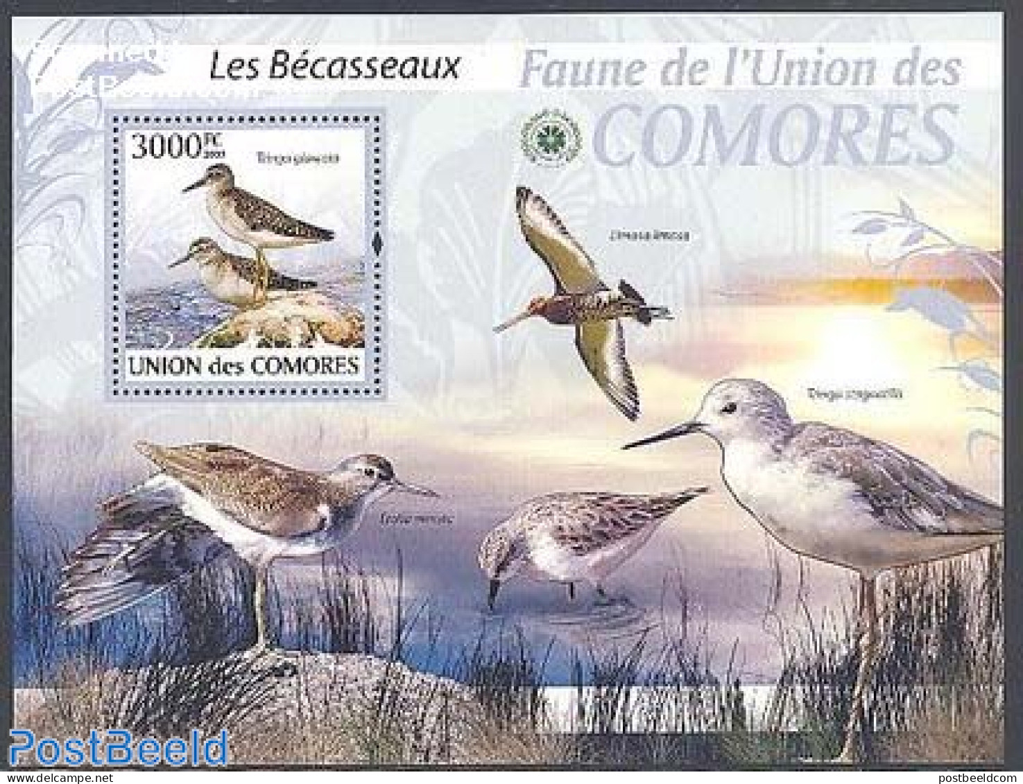 Comoros 2009 Calidris S/s, Mint NH, Nature - Birds - Comores (1975-...)