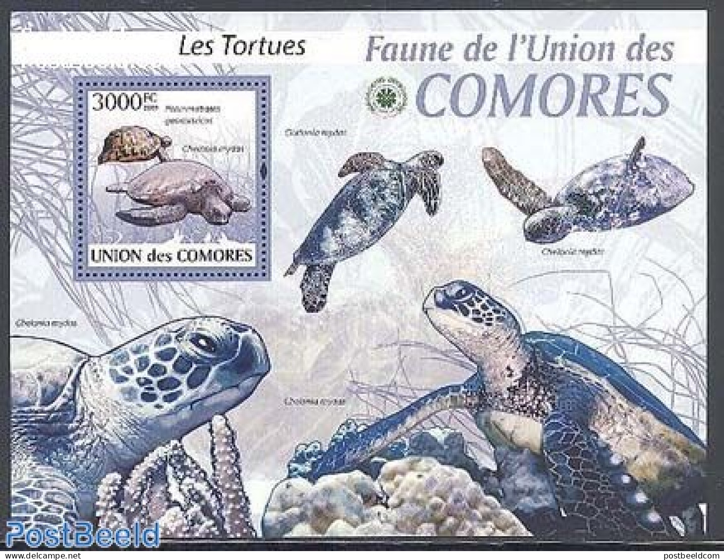 Comoros 2009 Turtles S/s, Mint NH, Nature - Reptiles - Turtles - Komoren (1975-...)