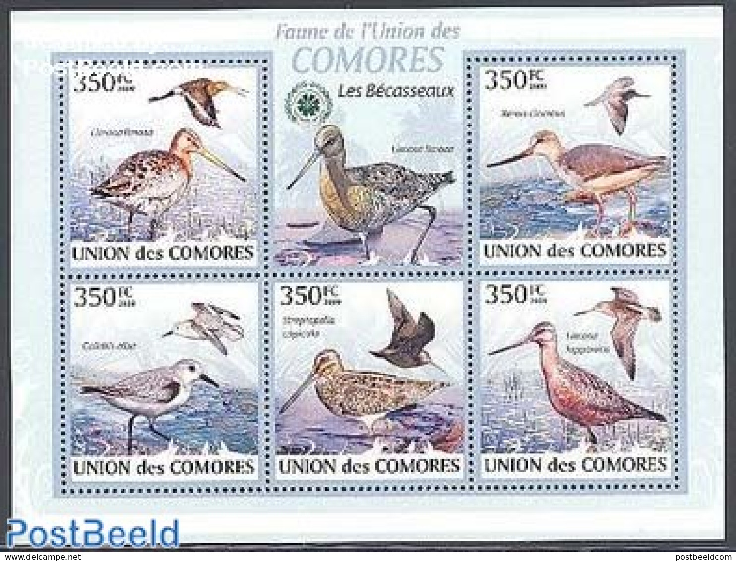 Comoros 2009 Birds 5v M/s, Mint NH, Nature - Birds - Comores (1975-...)