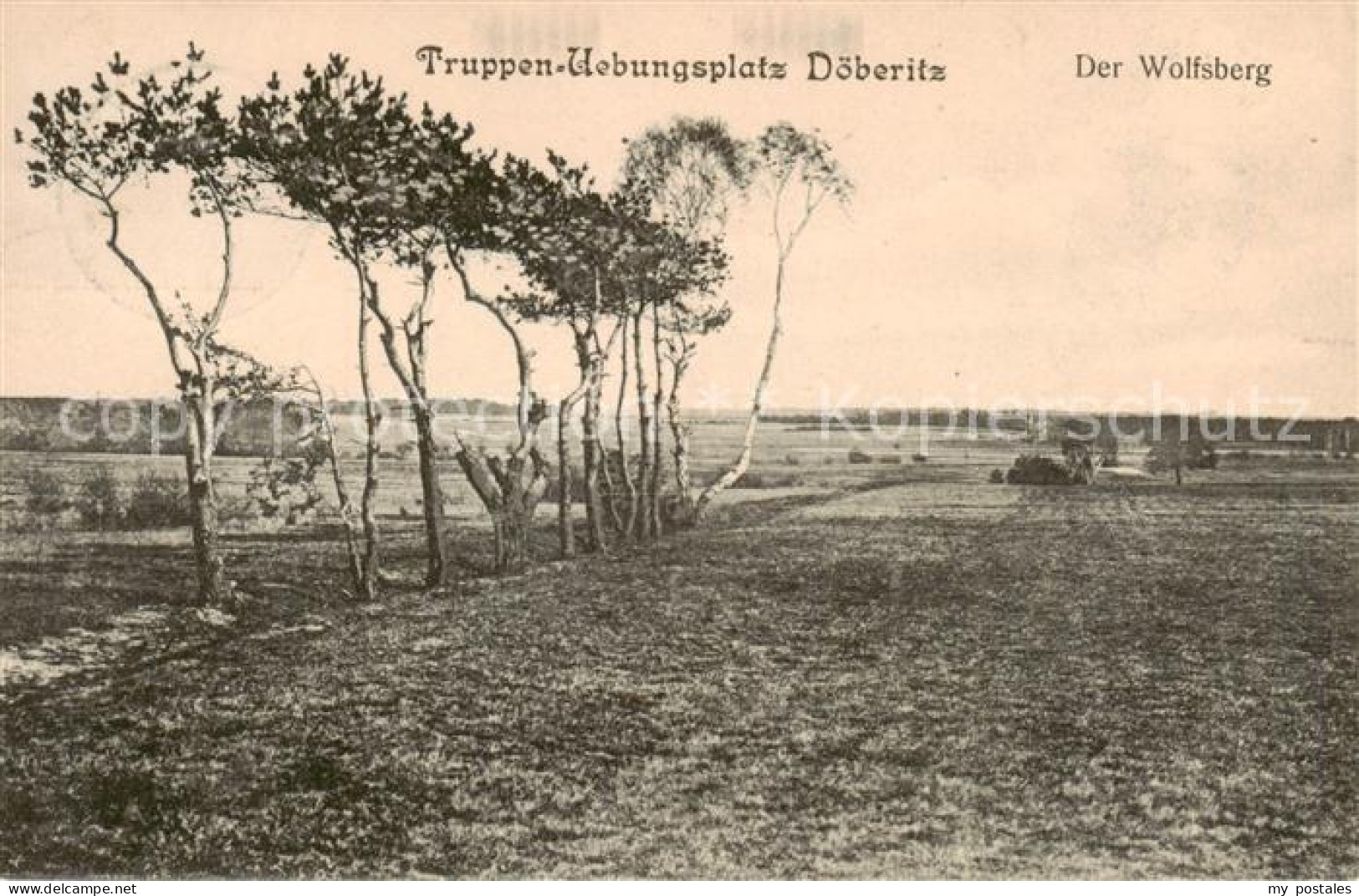 73816678 Doeberitz Truppenuebungsplatz Der Wolfsberg Doeberitz - Dallgow-Döberitz