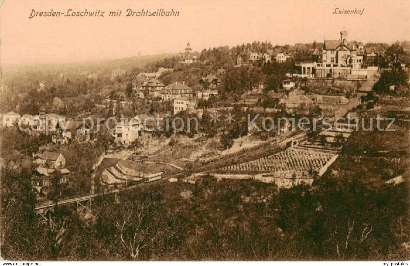 73816662 Loschwitz Dresden Elbe Panorama Mit Drahtseilbahn Und Luisenhof  - Dresden