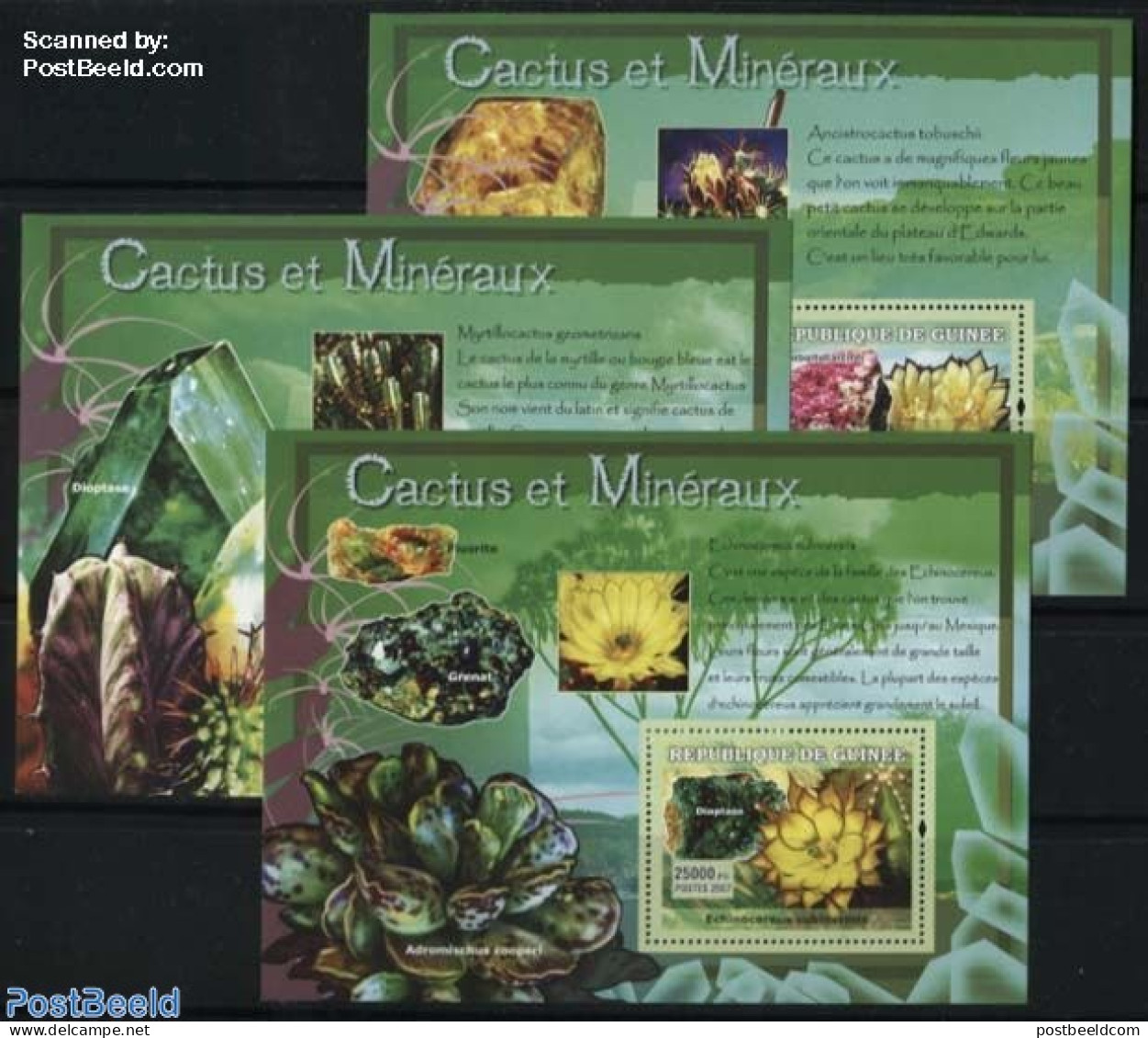 Guinea, Republic 2007 Cactus And Minerals 3 S/s, Mint NH, History - Nature - Geology - Cacti - Flowers & Plants - Cactusses