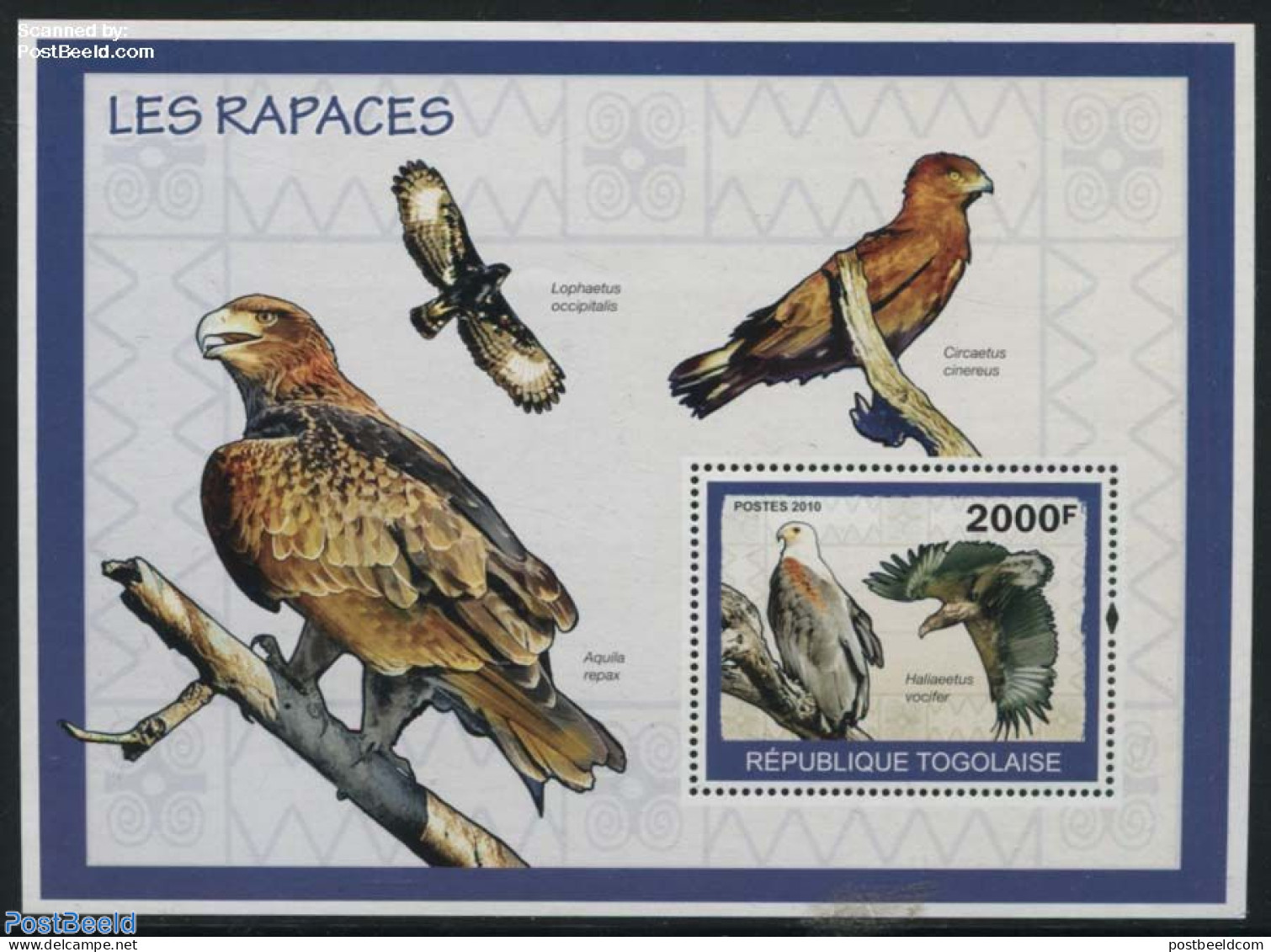 Togo 2010 Birds Of Prey S/s, Mint NH, Nature - Birds - Birds Of Prey - Togo (1960-...)