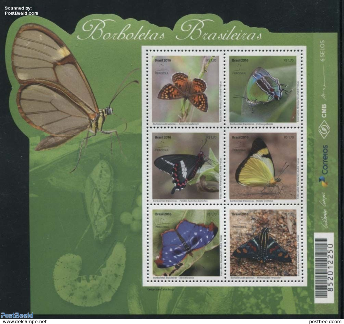 Brazil 2016 Mercosul, Butterflies 6v M/s, Mint NH, Nature - Butterflies - Insects - Ongebruikt